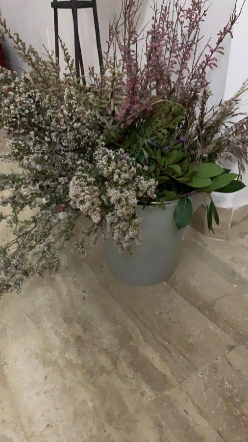 Altrove Bed & Breakfast Cagliari Eksteriør bilde